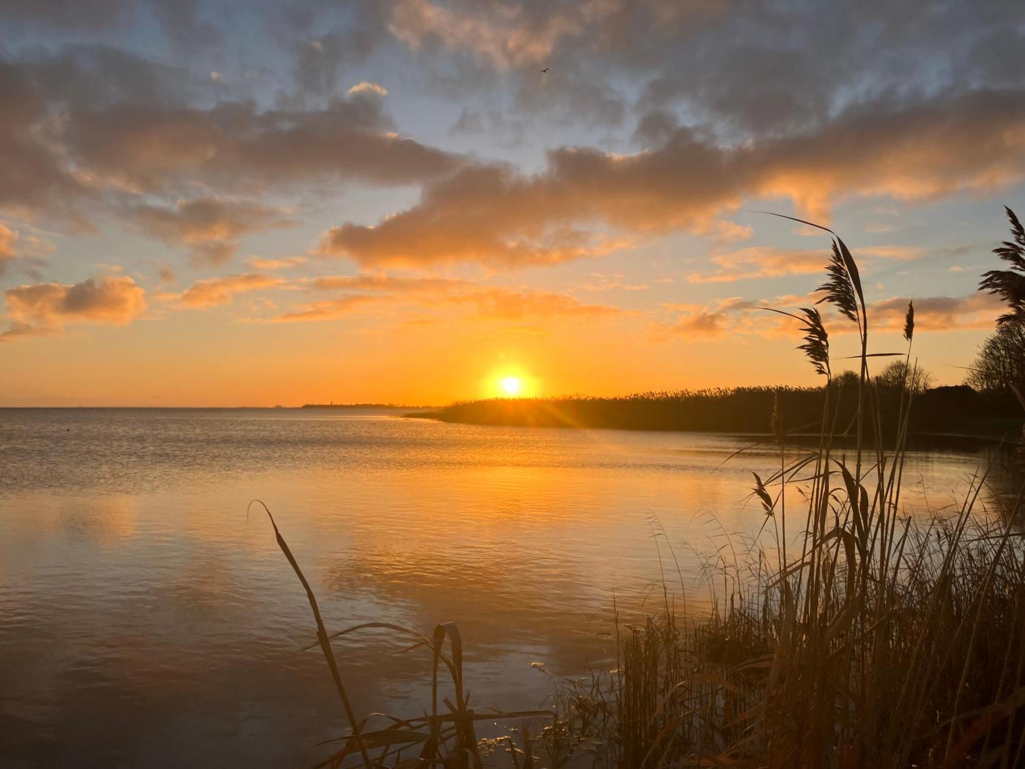 Grosse 4 Sterne Ferienwohnung Beim Boddenstrand Sundhagen-Niederhof Extérieur photo